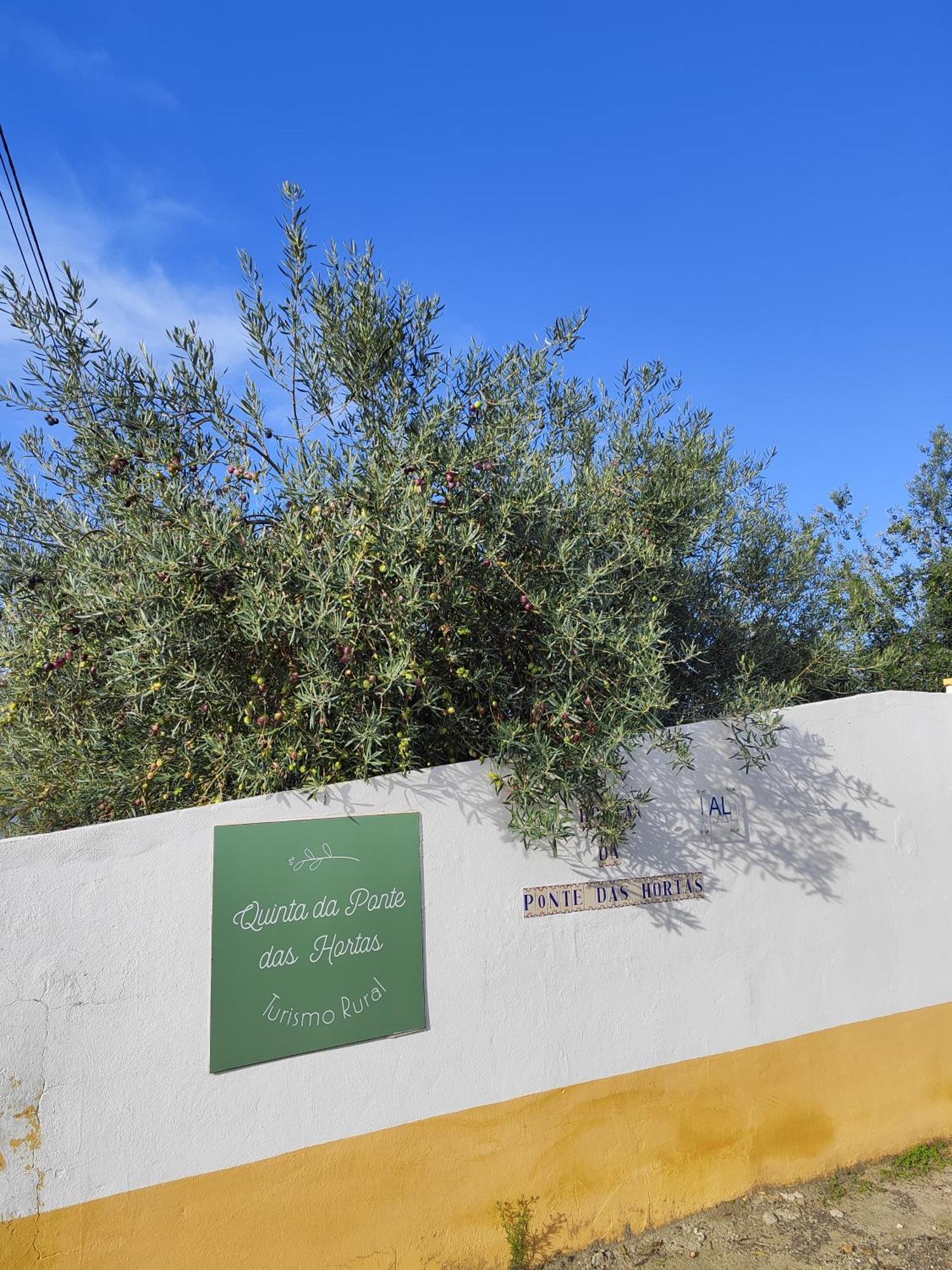 Quinta Da Ponte Hortas 2 Hébergement de vacances Elvas