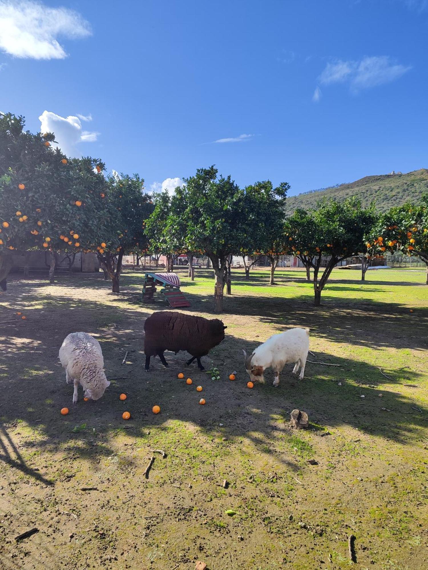 Quinta Da Ponte Hortas 2 Hébergement de vacances